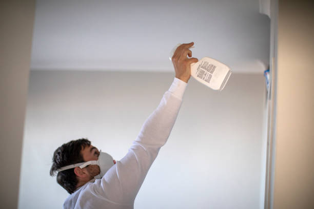 Trusted Denton, TX Mold Remediation Experts