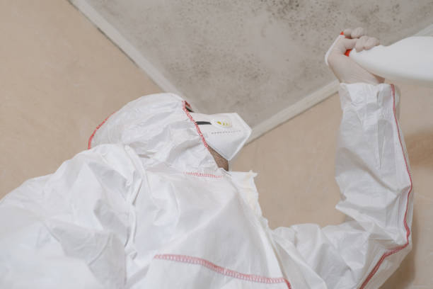 Best Mold Remediation for Specific Building Types in Denton, TX